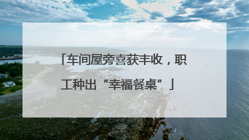 车间屋旁喜获丰收，职工种出“幸福餐桌”