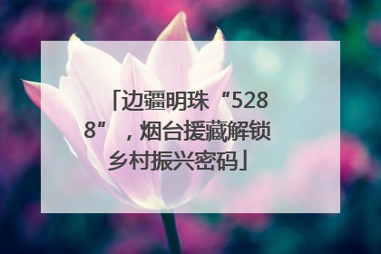 边疆明珠“5288”，烟台援藏解锁乡村振兴密码