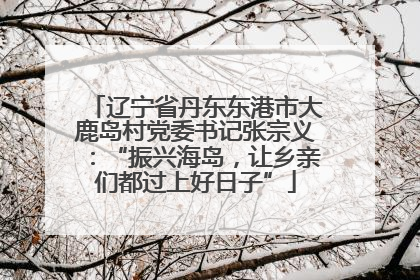 辽宁省丹东东港市大鹿岛村党委书记张宗义：“振兴海岛，让乡亲们都过上好日子”