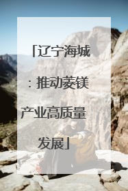 辽宁海城：推动菱镁产业高质量发展