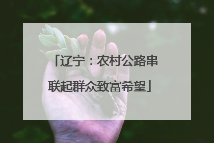 辽宁：农村公路串联起群众致富希望