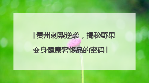 贵州刺梨逆袭，揭秘野果变身健康奢侈品的密码