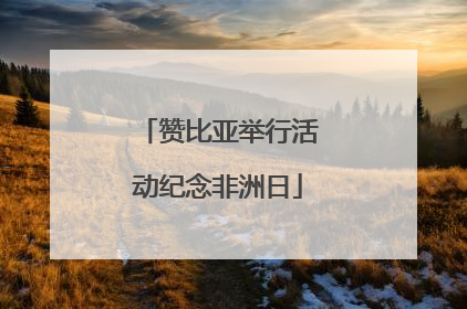 赞比亚举行活动纪念非洲日