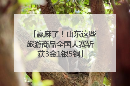 赢麻了！山东这些旅游商品全国大赛斩获3金1银5铜