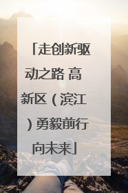 走创新驱动之路 高新区（滨江）勇毅前行向未来