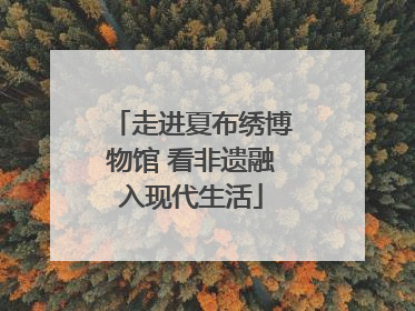 走进夏布绣博物馆 看非遗融入现代生活