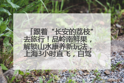 跟着“长安的荔枝”去旅行！品岭南鲜果，解锁山水康养新玩法，上海3小时直飞，自驾高速费优惠