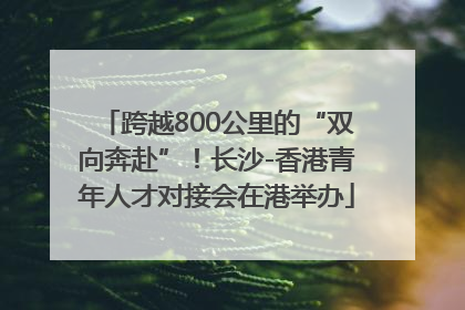 跨越800公里的“双向奔赴”！长沙-香港青年人才对接会在港举办