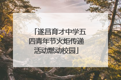 遂昌育才中学五四青年节火炬传递活动燃动校园