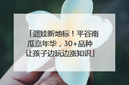 遛娃新地标！平谷南瓜嘉年华，30+品种让孩子边玩边涨知识