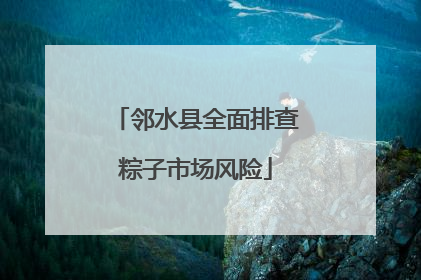邻水县全面排查粽子市场风险