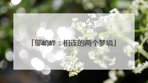 邬峭峰：相连的两个梦境