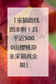 采摘路线图来啦！昌平近5000亩樱桃迎来采摘黄金期