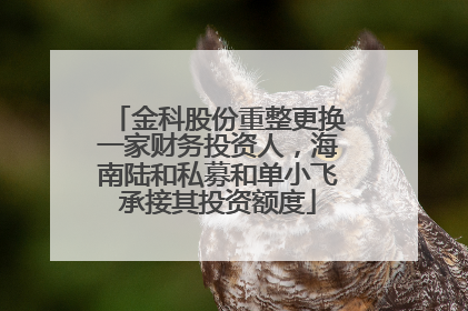 金科股份重整更换一家财务投资人，海南陆和私募和单小飞承接其投资额度