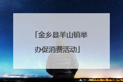 金乡县羊山镇举办促消费活动