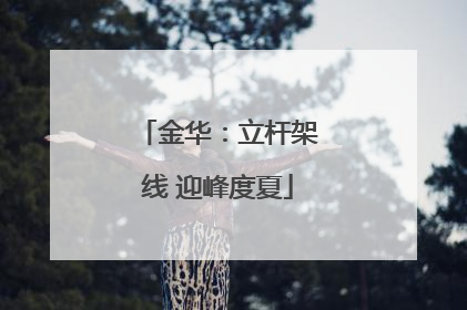 金华：立杆架线 迎峰度夏