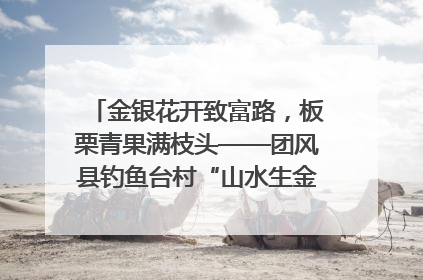 金银花开致富路，板栗青果满枝头——团风县钓鱼台村“山水生金”谱写共富新篇章