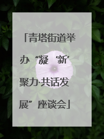 青塔街道举办“凝‘新’聚力·共话发展”座谈会