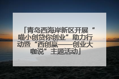 青岛西海岸新区开展“喵小创贷你创业”助力行动暨“西创赢——创业大咖说”主题活动