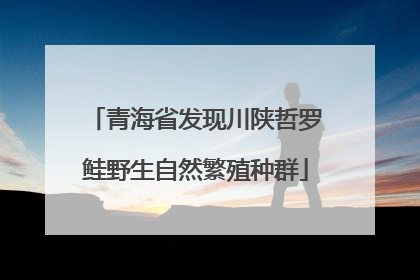 青海省发现川陕哲罗鲑野生自然繁殖种群