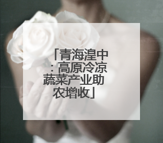 青海湟中：高原冷凉蔬菜产业助农增收