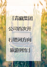 青藏集团公司首次开行塔河方向旅游列车