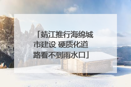 靖江推行海绵城市建设 硬质化道路看不到雨水口