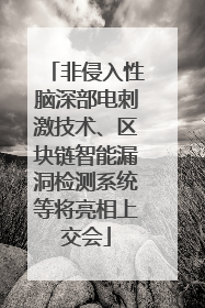 非侵入性脑深部电刺激技术、区块链智能漏洞检测系统等将亮相上交会