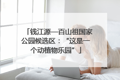 钱江源—百山祖国家公园候选区：“这是一个动植物乐园”
