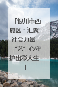 银川市西夏区：汇聚社会力量 “艺”心守护出彩人生