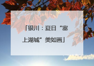 银川：夏日“塞上湖城”美如画
