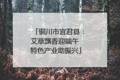 铜川市宜君县：艾草飘香迎端午 特色产业助振兴