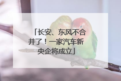 长安、东风不合并了！一家汽车新央企将成立