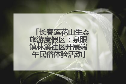 长春莲花山生态旅游度假区：泉眼镇林溪社区开展端午民俗体验活动