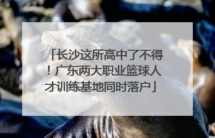 长沙这所高中了不得！广东两大职业篮球人才训练基地同时落户