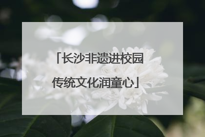 长沙非遗进校园 传统文化润童心
