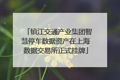 镇江交通产业集团智慧停车数据资产在上海数据交易所正式挂牌