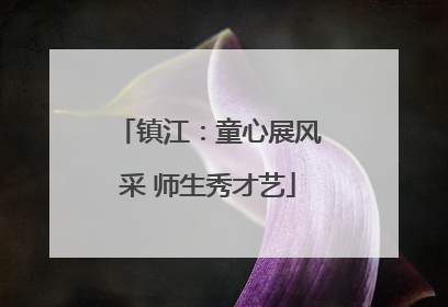 镇江：童心展风采 师生秀才艺