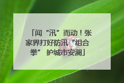 闻“汛”而动！张家界打好防汛“组合拳” 护城市安澜