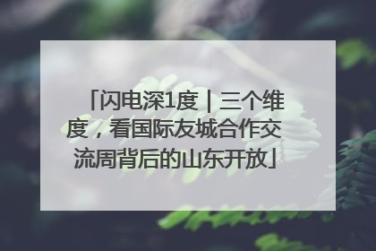 闪电深1度｜三个维度，看国际友城合作交流周背后的山东开放