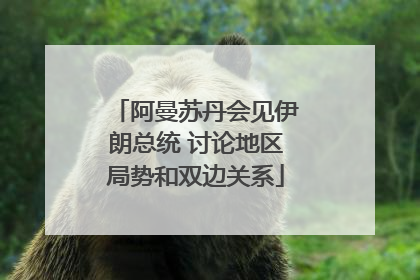 阿曼苏丹会见伊朗总统 讨论地区局势和双边关系