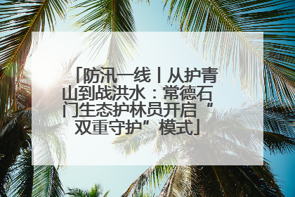 防汛一线丨从护青山到战洪水：常德石门生态护林员开启“双重守护”模式
