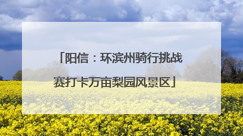 阳信：环滨州骑行挑战赛打卡万亩梨园风景区
