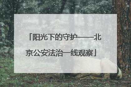 阳光下的守护——北京公安法治一线观察