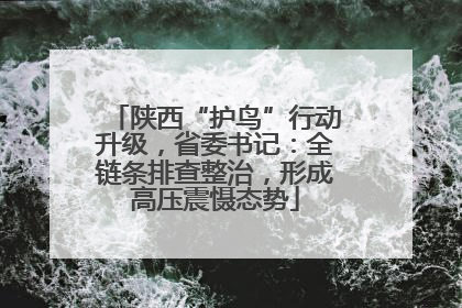陕西“护鸟”行动升级，省委书记：全链条排查整治，形成高压震慑态势