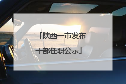陕西一市发布干部任职公示