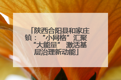 陕西合阳县和家庄镇：“小网格”汇聚“大能量” 激活基层治理新动能