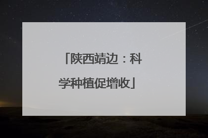 陕西靖边：科学种植促增收