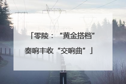 零陵：“黄金搭档”奏响丰收“交响曲”