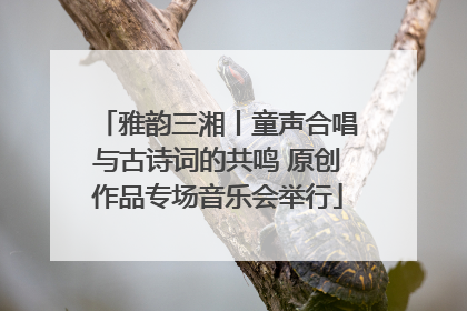 雅韵三湘丨童声合唱与古诗词的共鸣 原创作品专场音乐会举行